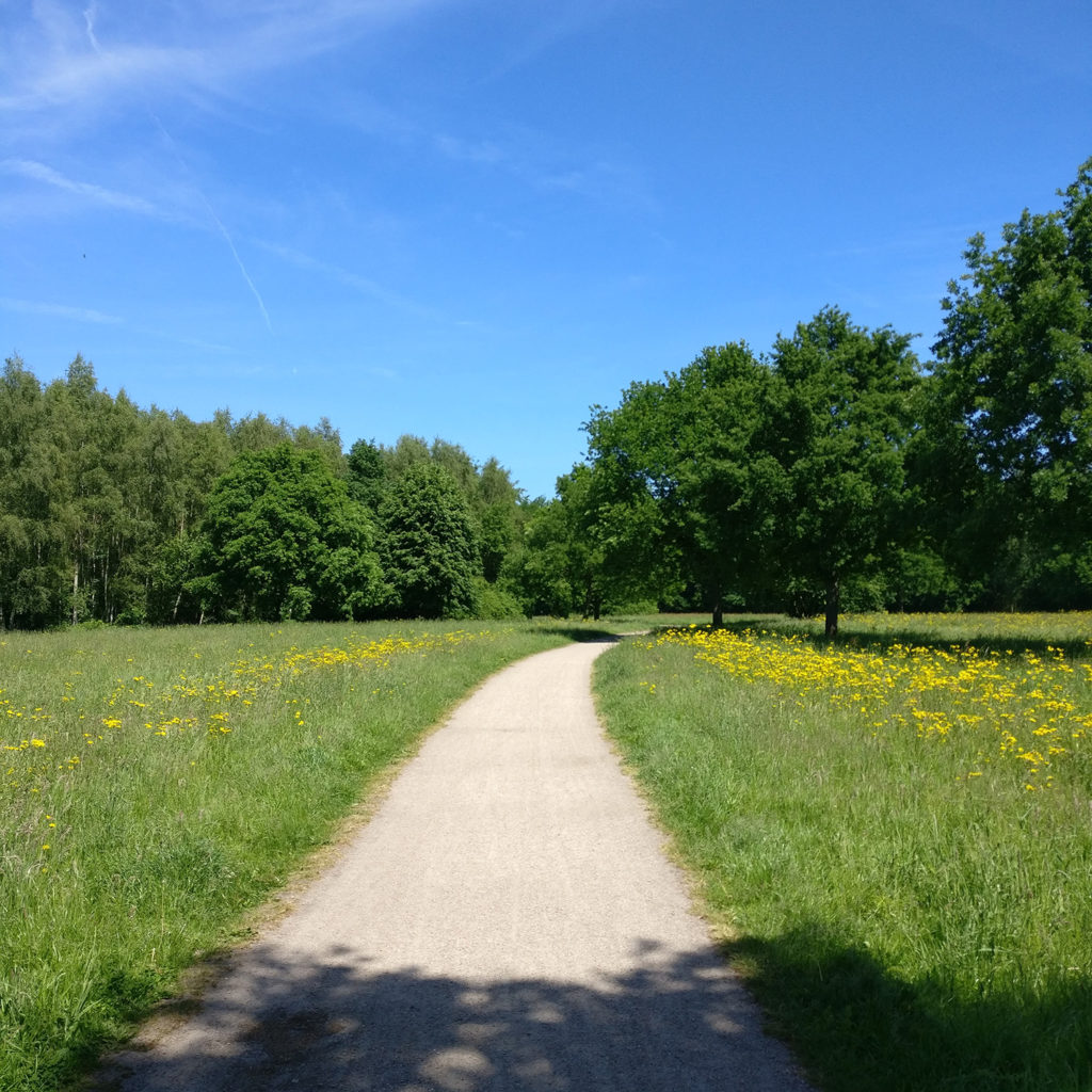 Einzelcoaching sonniger Weg