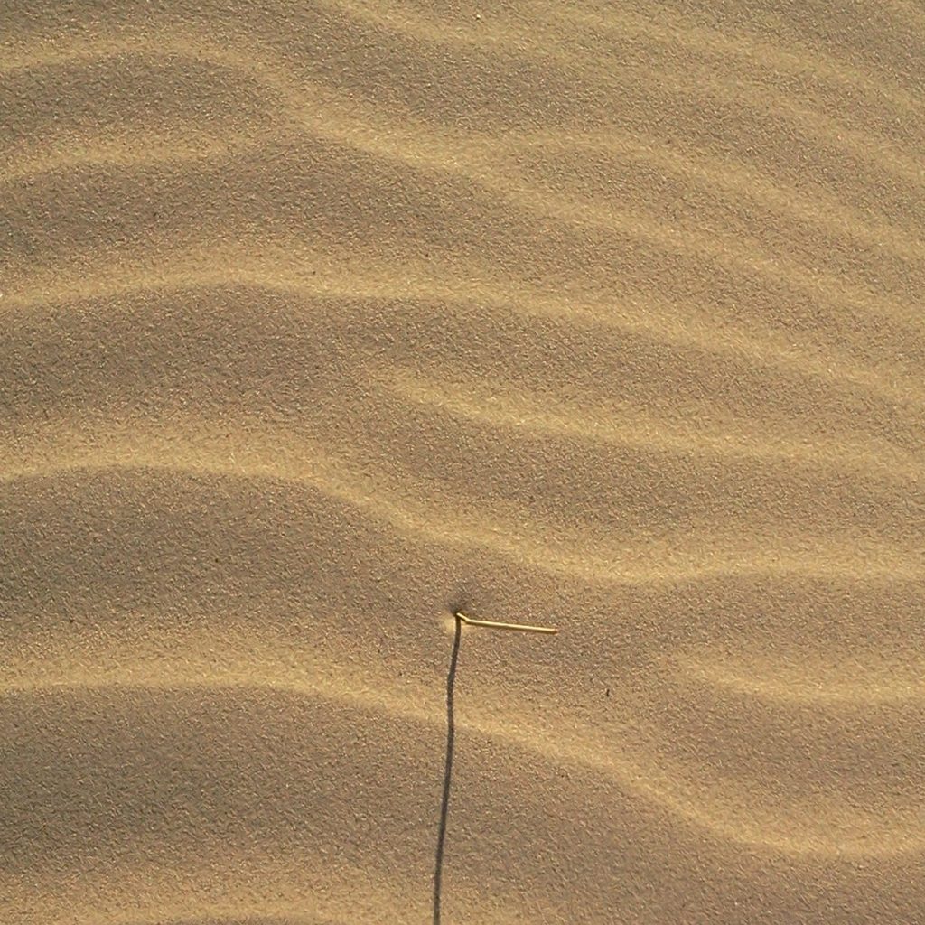 Berufliche-Neuorientierung-Foto-Sand